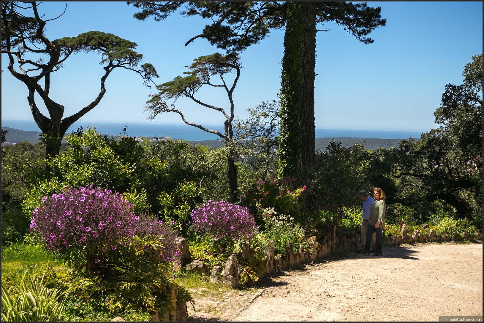 Palacio de Monserrate, Sintra